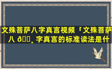 文殊菩萨八字真言视频「文殊菩萨八 🌸 字真言的标准读法是什 🐅 么」